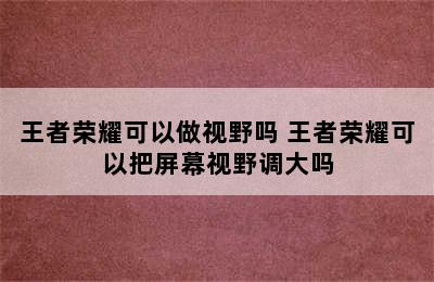 王者荣耀可以做视野吗 王者荣耀可以把屏幕视野调大吗